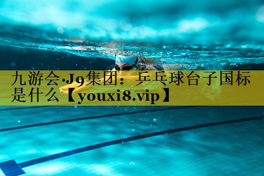 乒乓球台子国标是什么