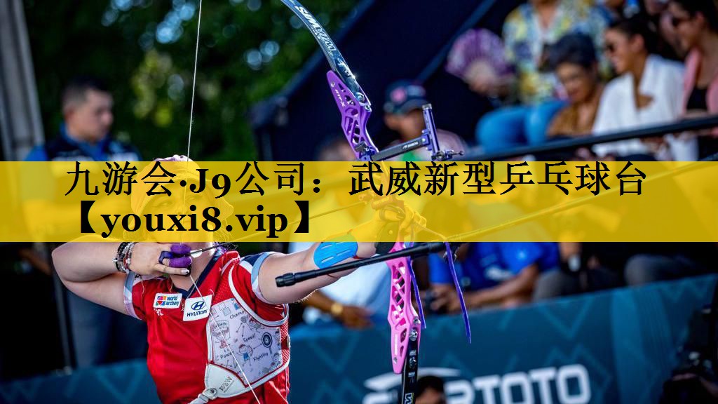 武威新型乒乓球台
