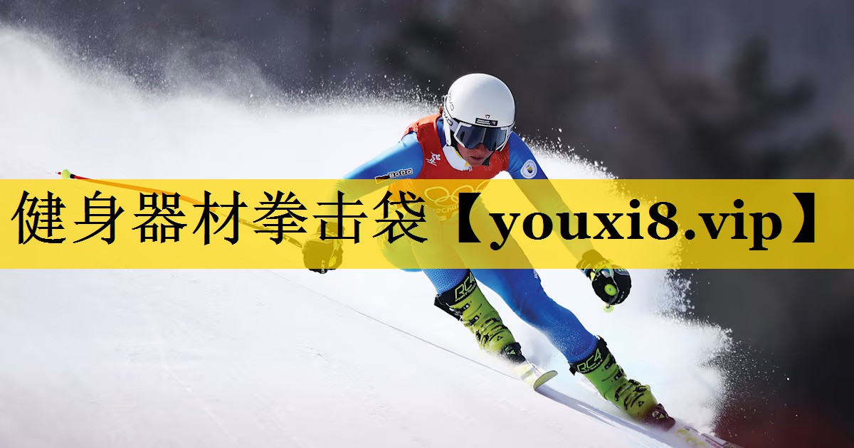 健身器材拳击袋